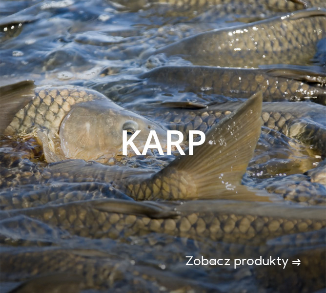 KARP