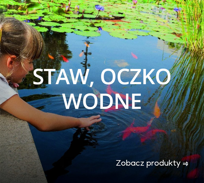 STAW, OCZKO WODNE